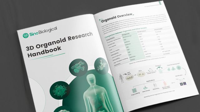 3D Organoid Research Handbook
