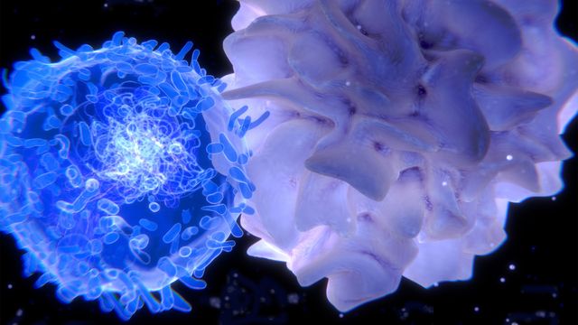 A 3D image of a cell surface interacting with T cells