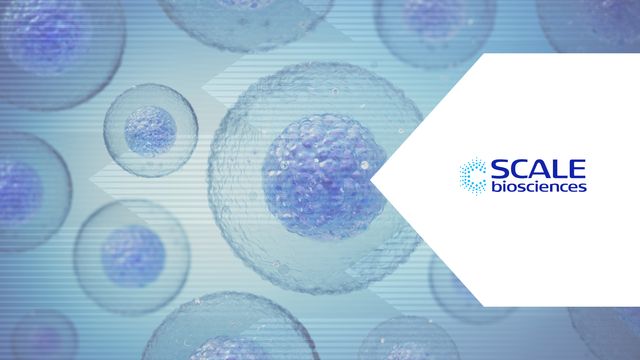 Logo of Scale Biosciences over a background with high-resolution single-cell imagery