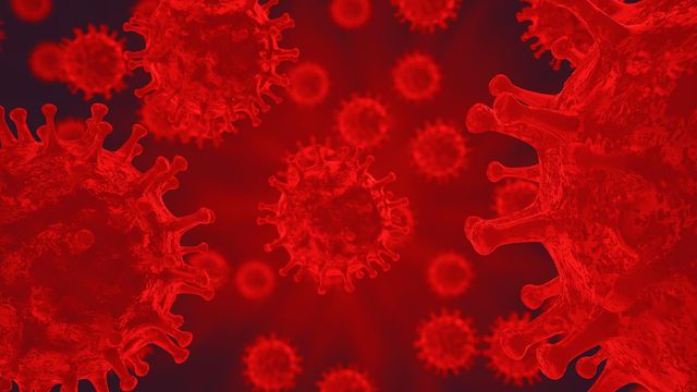 3D-rendered illustration of a virus in red, showing spike proteins and multiple virus particles in the background.