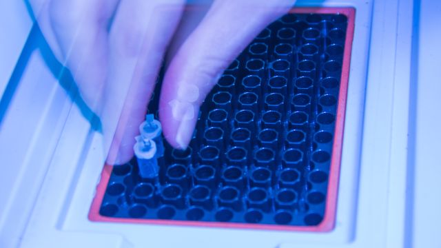 Hand placing PCR tubes into a thermal cycler under blue lab lighting.