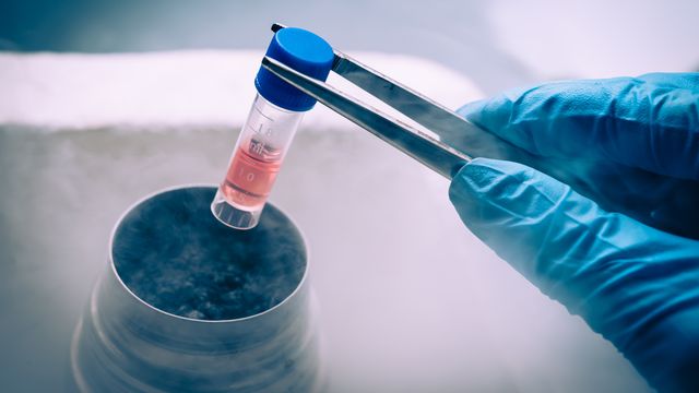 Cryogenic sample storage with gloved hand retrieving a labeled vial from liquid nitrogen.