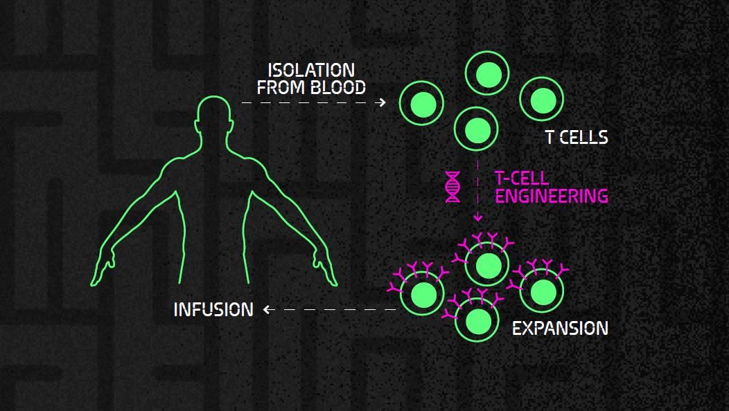 In CAR T-cell therapy, T cells are isolated from the blood and genetically modified to express cancer-targeting CARs. Engineered cells are then expanded and administered back to the patient. Diagram showing the process CAR T-cell therapy isolation, expansion and infusion