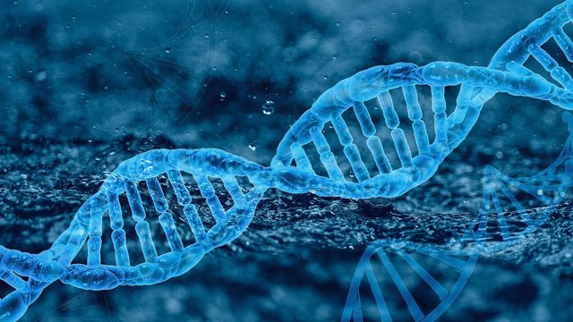 Illustration of a DNA double helix on a rough surface with another feint double helix below. 