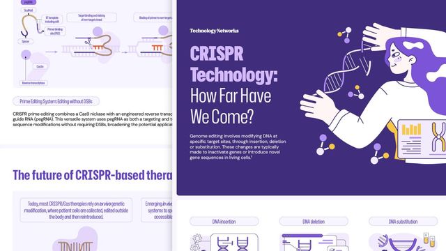 Image of Infographic