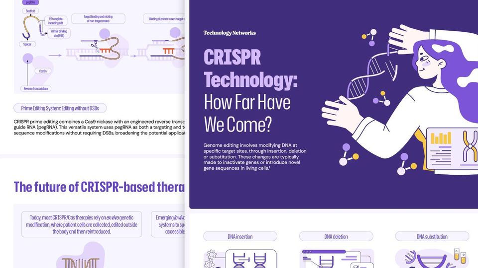 Image of Infographic