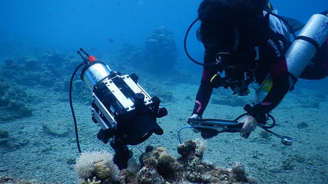 A diver using the new microscope underwater to take images of coral. 