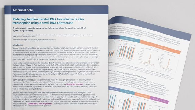 An application note on reducing dsRNA during mRNA synthesis using novel RNA polymerase.