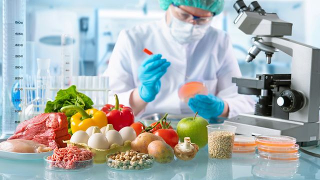 Scientist testing food samples for PFAS contamination in a laboratory, using petri dishes, a microscope and fresh ingredients