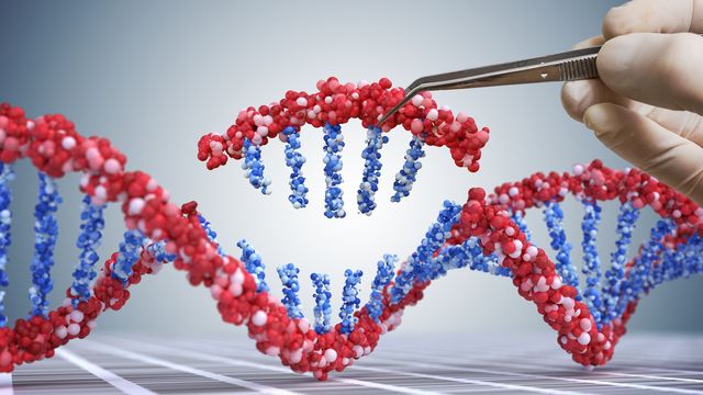 A DNA double helix with a section (gene) removed and being held by a scientist with tweezers, representing gene therapy.