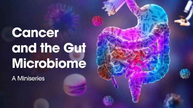 Illustration of human gut with microbiome highlighting connection to cancer in a medical miniseries.