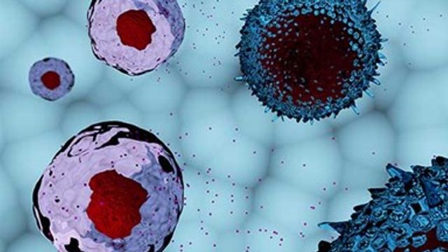3D illustration of exosomes and cells interacting in a cellular microenvironment.