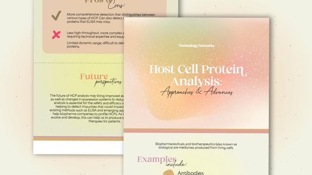 Infographic snippet showcasing key insights, pros and cons of detection methods, and future perspectives in impurity profiling 