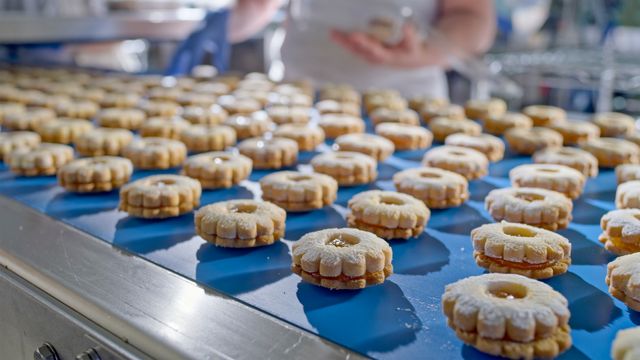 Dozens of jam-filled, flower-shaped biscuits on a blue conveyor belt in a factory.