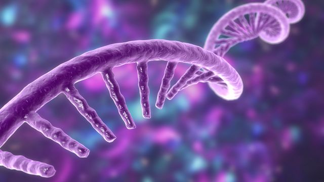 3D illustration of a purple mRNA strand on a purple and blue background.