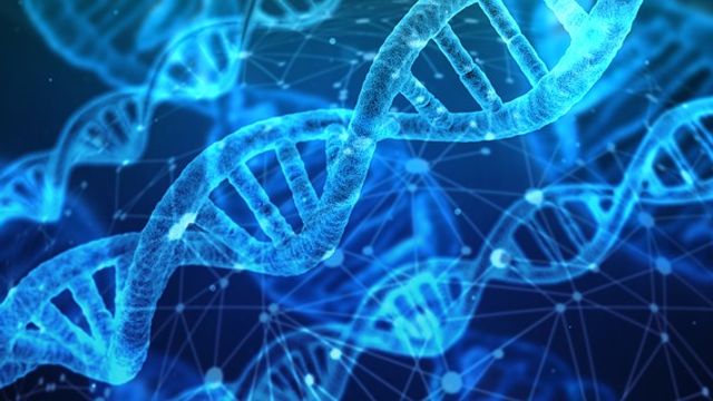 DNA structure in light blue, with dark blue background.