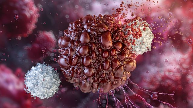 A cancer cell being destroyed by two T cells, representing cancer immunotherapy.