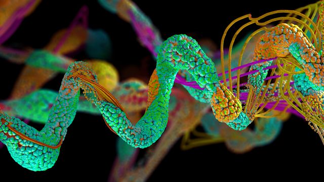 Colorful 3D rendering of a protein structure showing intricate folding and molecular detail.