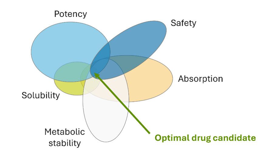 Diagram showing multiparameter optimization in drug discovery.