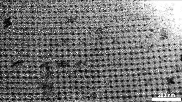 Electron microscopy image of a 3D nanoparticle assembled using DNA-programmable bonds.  