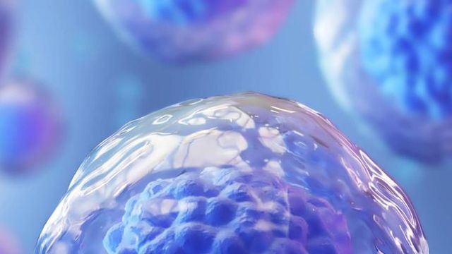 Close-up view of translucent cells with blue interiors, highlighted against a soft blue and purple gradient background