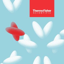 Illustration of red and white molecules symbolizing separation in chromatography, with Thermo Fisher Scientific logo. 