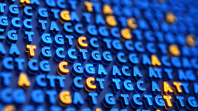 Colorful 3D representation of DNA base pairs used in next-generation sequencing analysis
