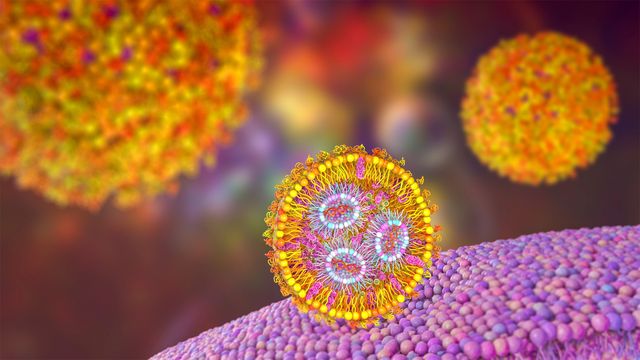 A lipid nanoparticle containing mRNA vaccine approaches a cell membrane. 