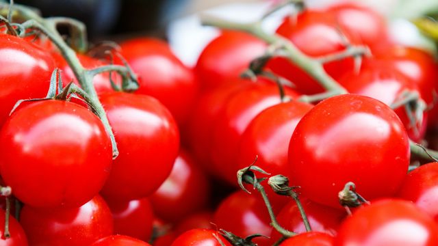 Red tomatoes on their stalks, packed together.
