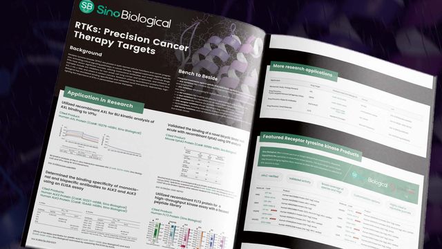RTKs: Precision Cancer Therapy Targets