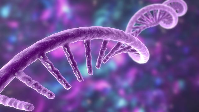 A single strand of RNA in purple.