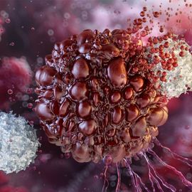 3D illustration of immune cells attacking a cancer cell, representing the mechanism of cancer immunotherapy. 