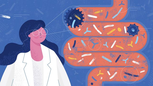 Illustration of a female scientist analyzing gut microbiome bacteria to study gut health.