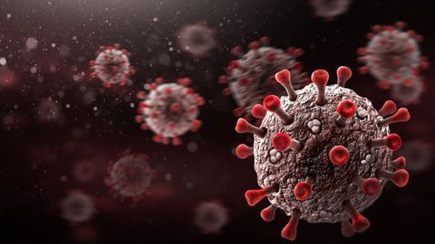 The Role of the Host Immune Response in COVID-19: Friend or Foe?
