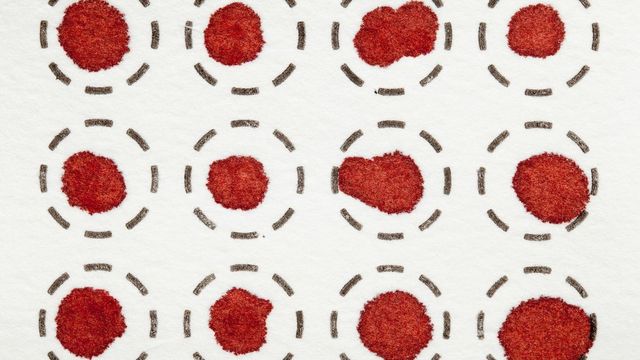 Close-up of dried blood spots on filter paper within printed collection circles for analysis.