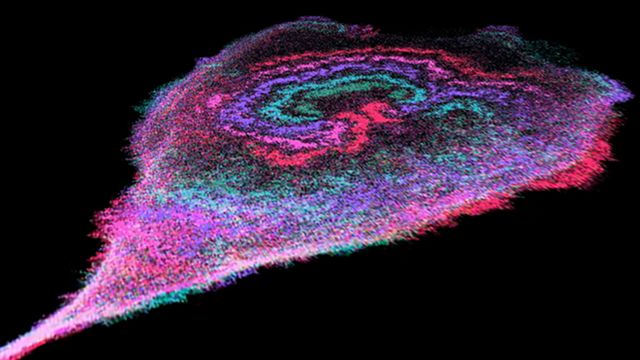 The image, captured with a high-powered microscope over 9-minute intervals, is color-coded from early to late time points showing wave activity (green, blue, purple, pink, red).