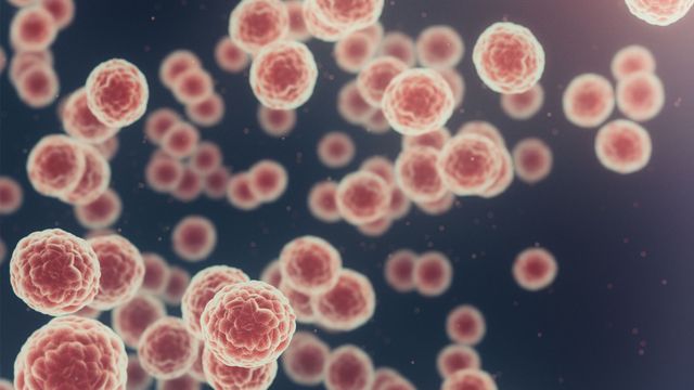 Illustration of 3D microscopic cancer cells.